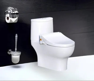 Bàn Cầu Nắp Rửa Cơ CD1349/TAF050 2 Khối Caesar