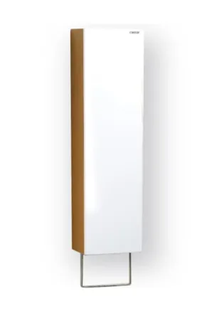 Tủ treo phòng tắm Caesar Q1230