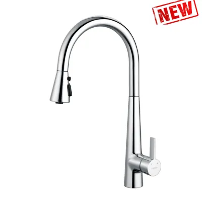 Vòi rửa bát nóng lạnh Caesar K905C