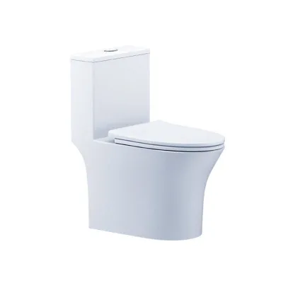 Bàn cầu 1 khối nắp êm Caesar C1391