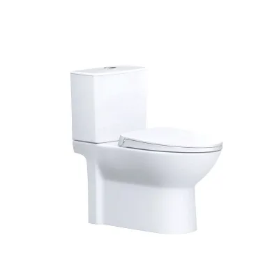 Bồn Cầu Nắp Rửa Cơ CD1340/TAF050 2 Khối CAESAR