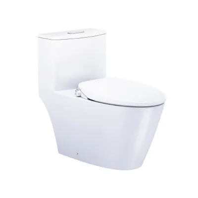 Bồn Cầu CD1363/TAF050 1 Khối Nắp Rửa Cơ CAESAR 