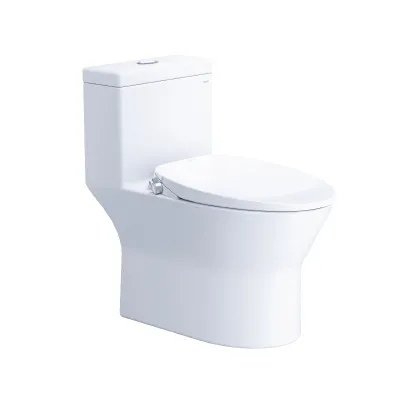 Bồn Cầu Nắp Rửa Cơ CD1374/TAF060 1 Khối CAESAR