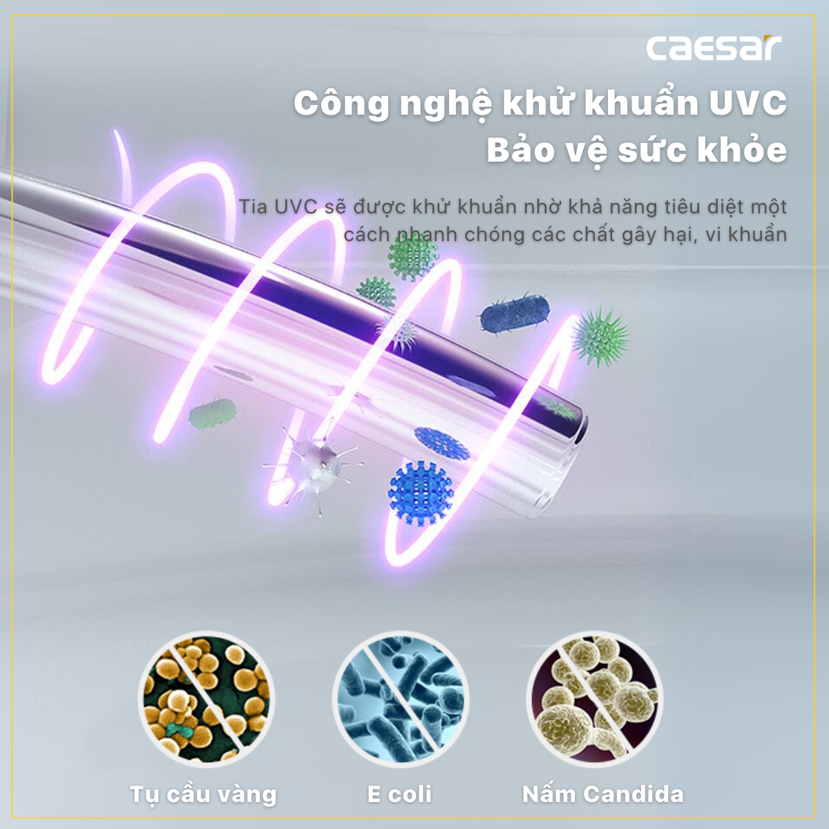 Bàn Cầu một khối kết hợp với nắp điện tử Caesar C1375F/TAF610H