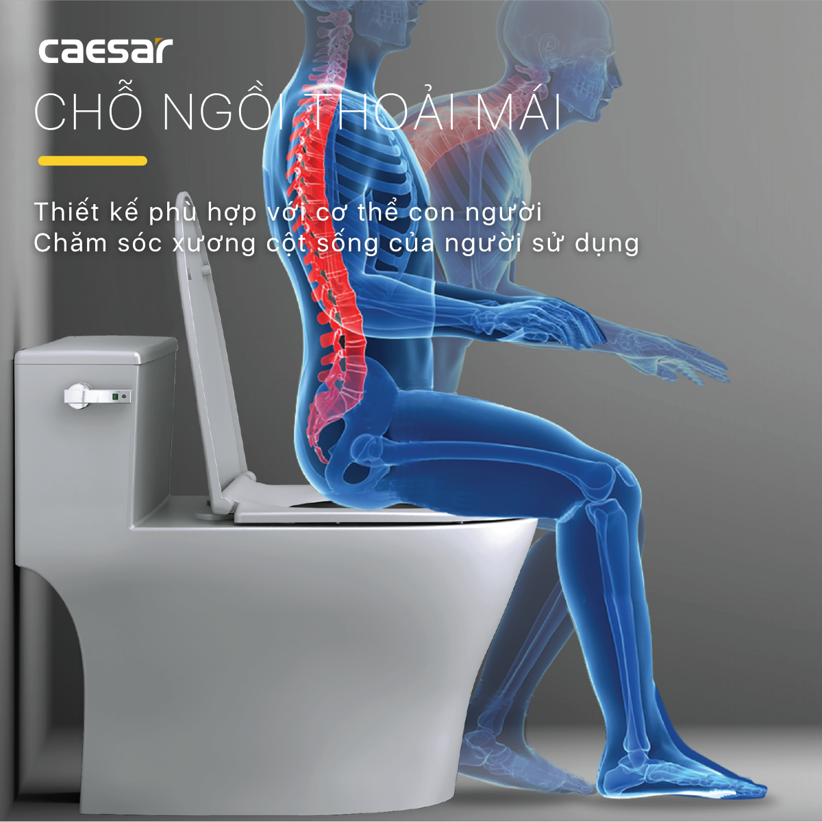 Bàn Cầu Một Khối Nắp Êm Caesar C1393