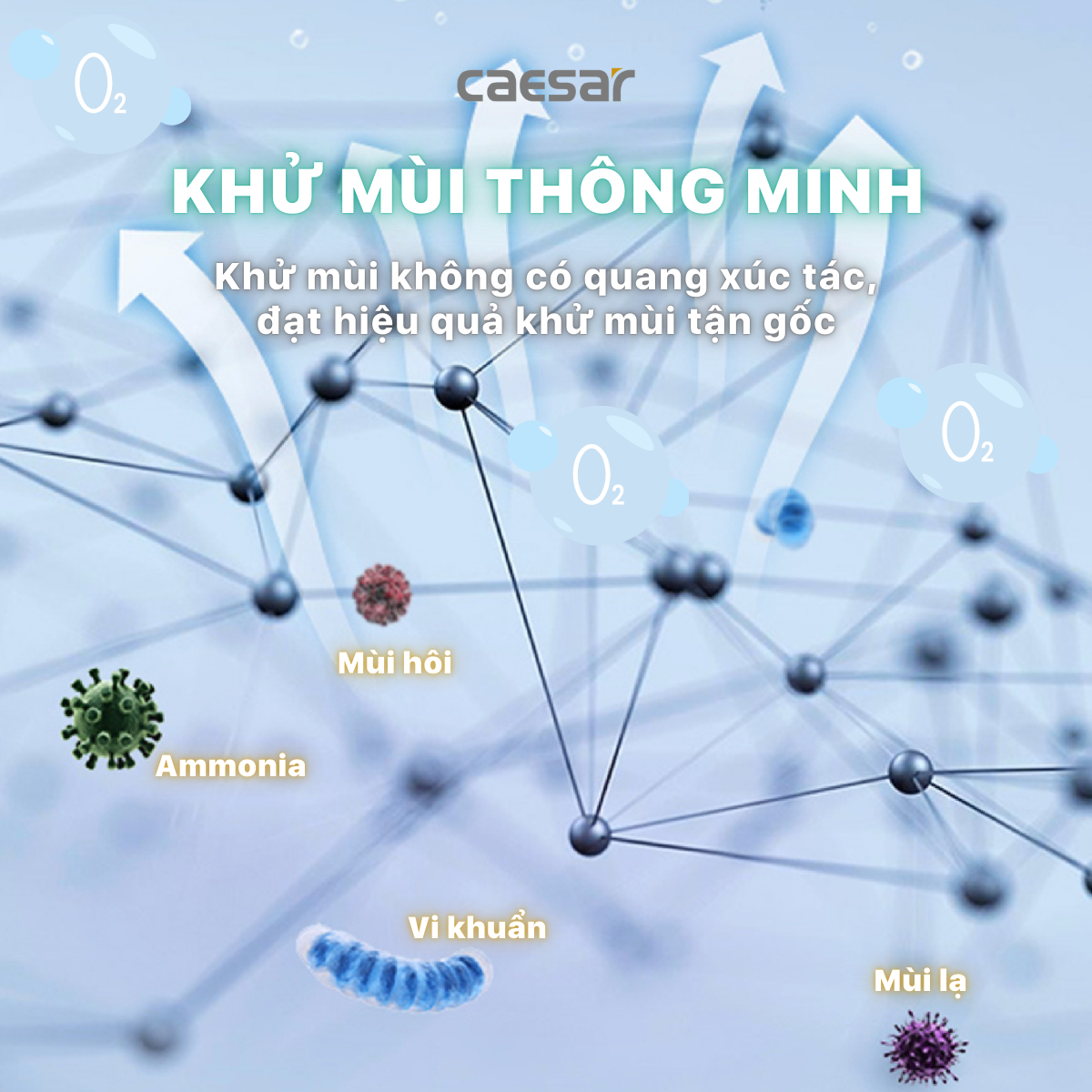Bàn Cầu Một Khối kết hợp nắp điện tử Caesar C1393F/TAF710H