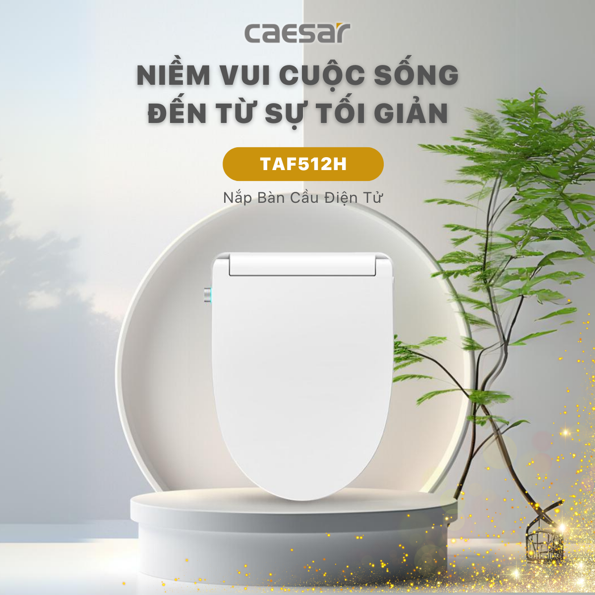 Bàn Cầu hai khối kết hợp nắp Thông Minh Caesar CD1341/TAF512H