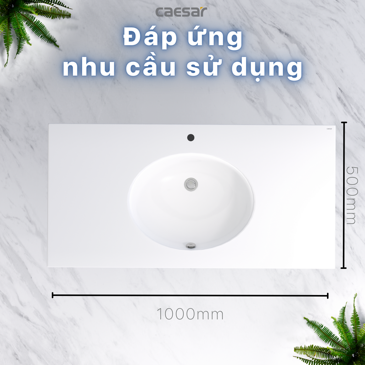 Lavabo Dương Bàn Caesar LF5028