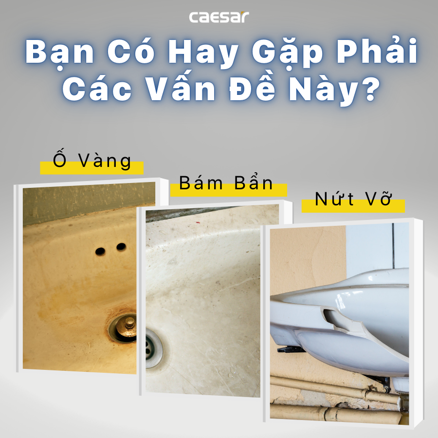Lavabo treo tường / Lavabo đặt trên bàn Caesar LF5356