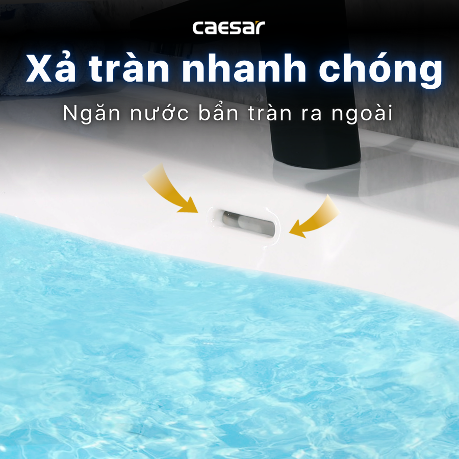 Lavabo treo tường / Lavabo đặt trên bàn Caesar LF5356