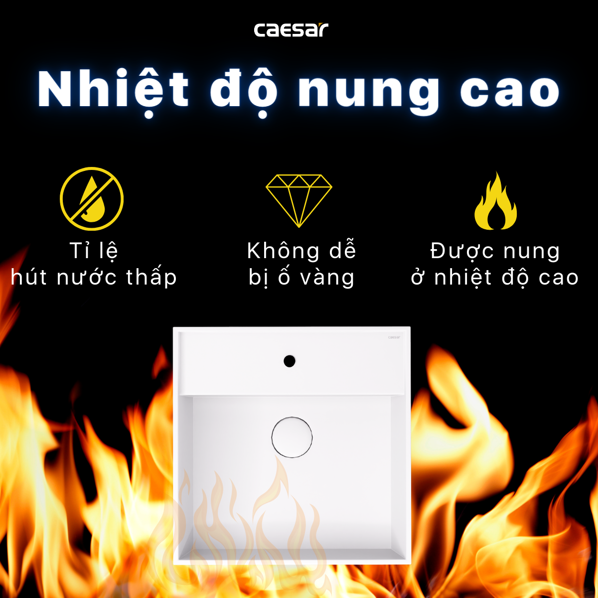 Lavabo treo tường / Lavabo đặt trên bàn Caesar LF5380