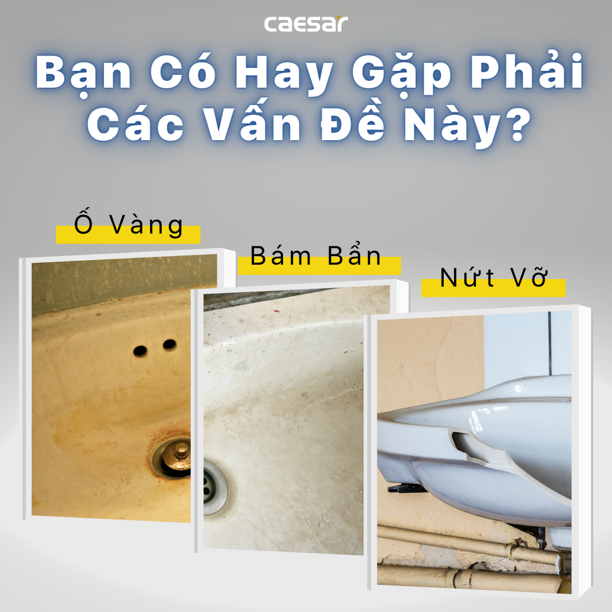 Lavabo treo tường / Lavabo đặt trên bàn Caesar LF5380