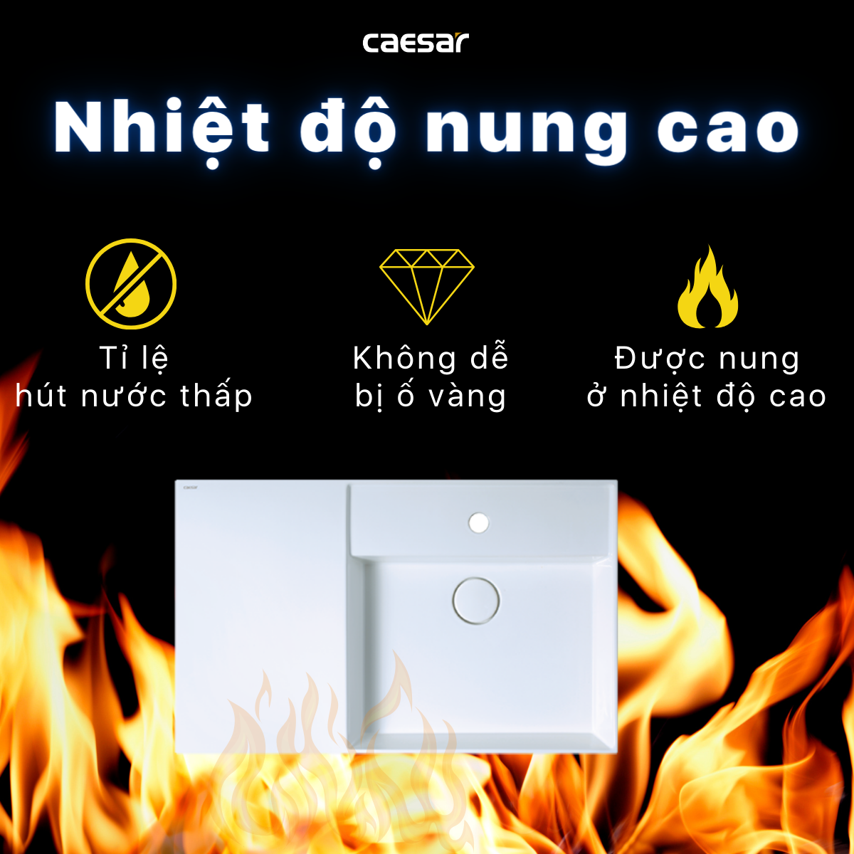 Lavabo treo tường / Lavabo đặt trên bàn Caesar LF5384