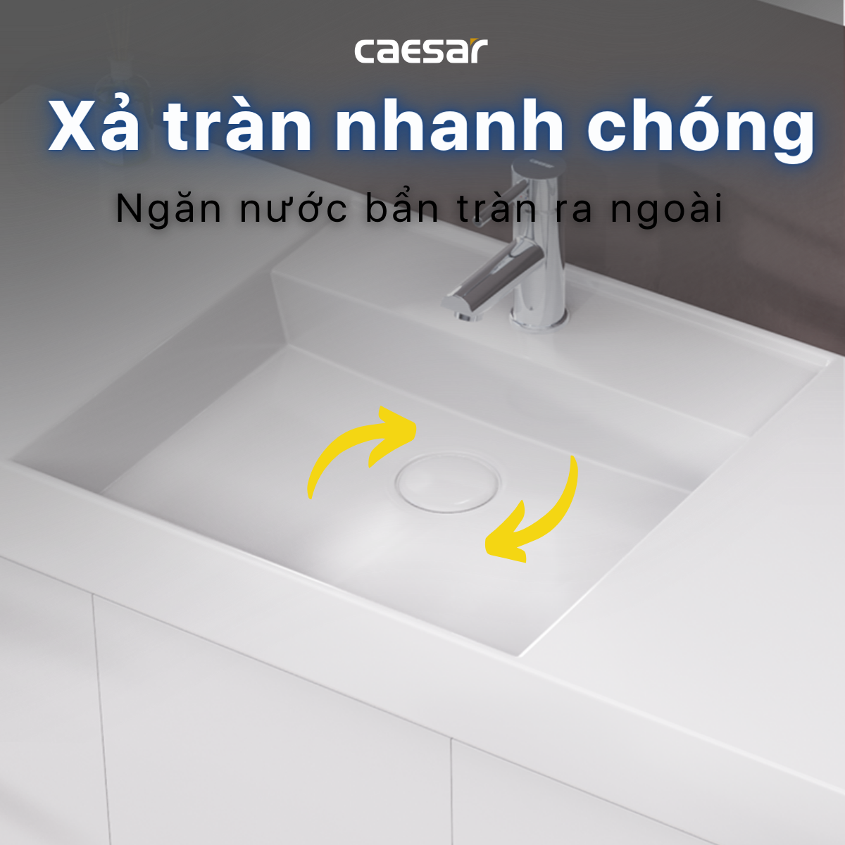 Lavabo treo tường / Lavabo đặt trên bàn Caesar LF5386