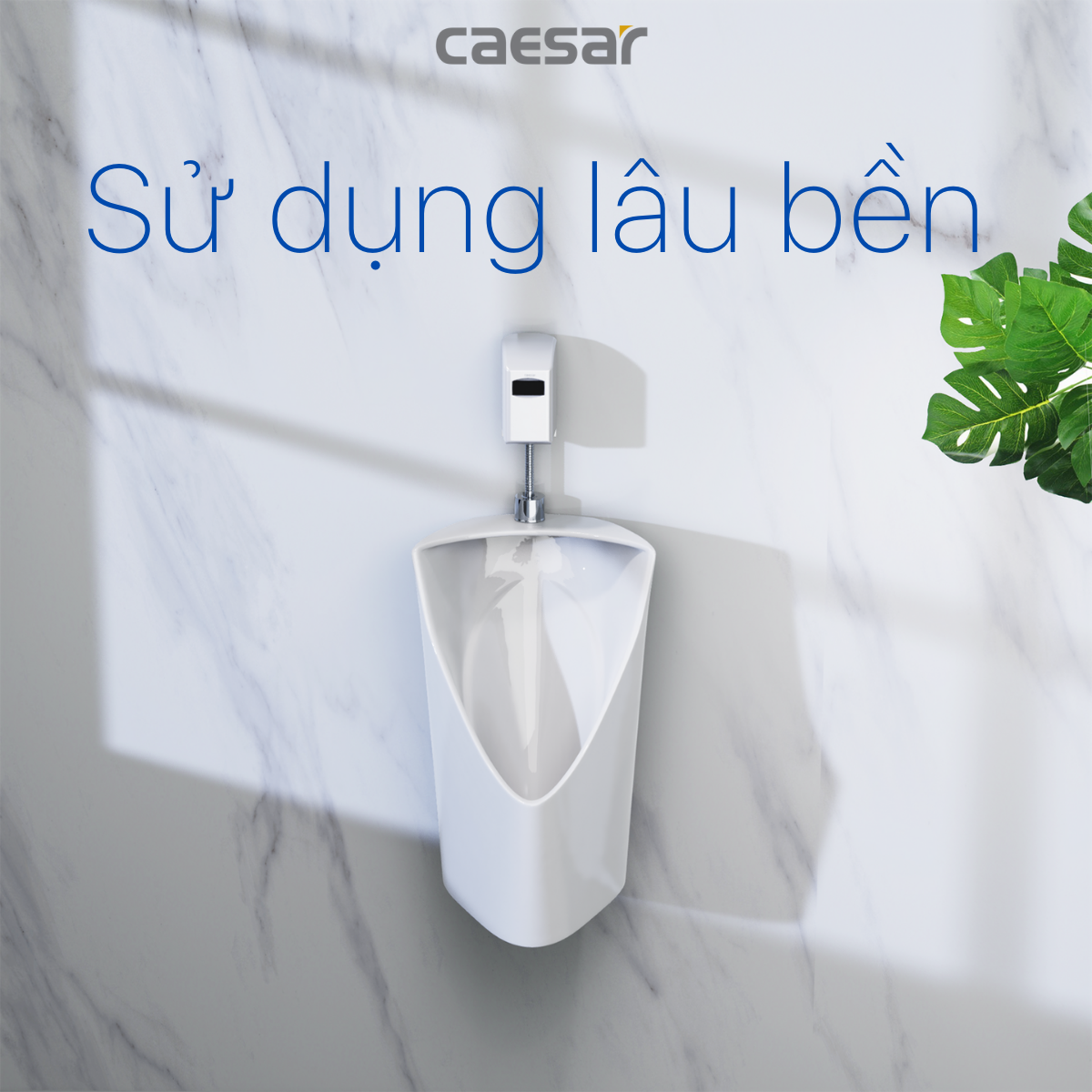 Bệ tiểu Nam (treo tường) + Xả tiểu + Máy tạo Ozon Caesar U0233/A637/A610OZ