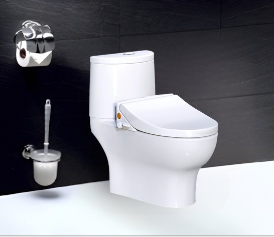 Bàn Cầu Nắp Rửa Cơ CD1349/TAF050 2 Khối Caesar