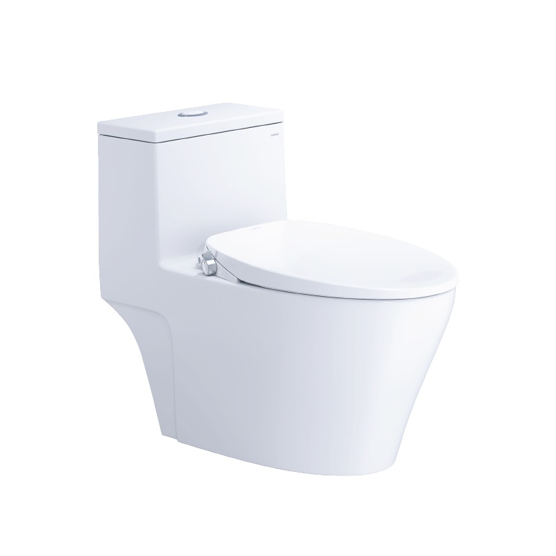 Bàn Cầu Nắp Rửa Cơ C1356/TAF060 1 Khối Caesar