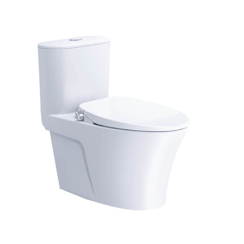 Bồn Cầu Nắp Rửa Cơ CD1395/TAF060 1 Khối CAESAR